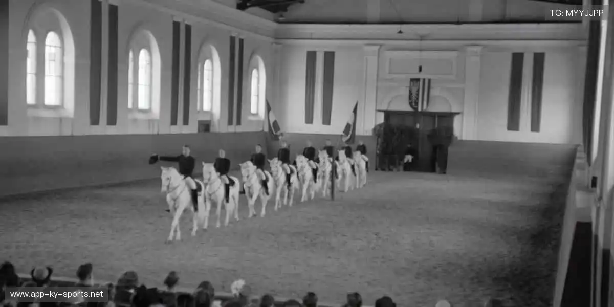 🎯 专业装备,让你的每一次挥拍都精准如冠军!